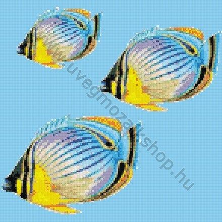 Trópusi halcsoport 01 üvegmozaik medence mozaik díszítés